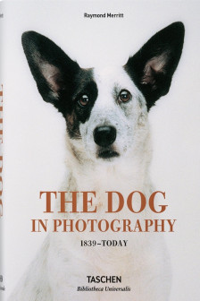 bu The Dog in Photography 1839&ndash;Today