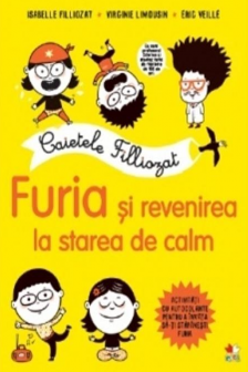 CAIETELE FILLIOZAT. FURIA SI REVENIREA LA STAREA DE CALM