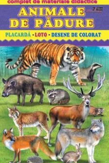 Complet.Animale de padure.Placarda-Loto-Desene de colorat