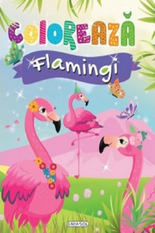 Coloreaza - Flamingi