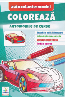 Coloreaza+autocolante Automobile de cursa