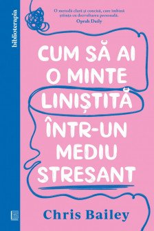 Cum sa ai o minte linistita intr-un mediu stresant