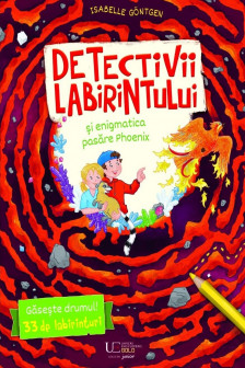 Detectivii labirintului si enigmatica pasare Phoenix