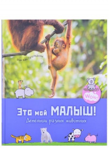 Это мой малыш! Детёныши разных животных