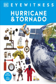 EYEWITNESS HURRICANE AND TORNADO