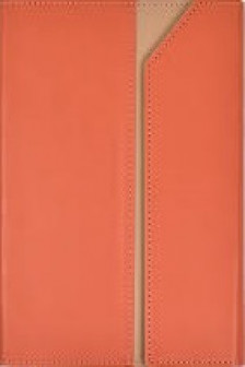 Ежедневник недатированный  ESCALADA