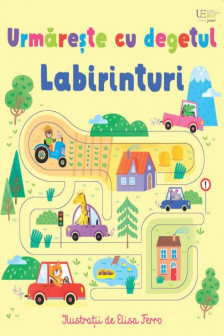 Urmareste cu degetul Labirinturi (Usborne)