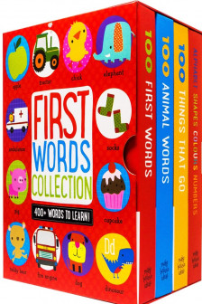 First 100 Board Book Box Set (4 Books): First 100 Words / Numbers Colors Shapes / First 100 Animals