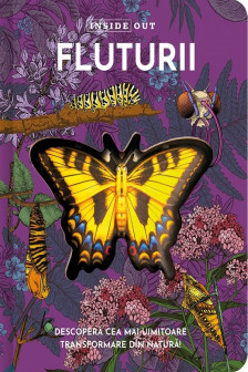 Fluturii &ndash; model 3D