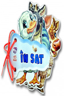 Ghiceste: IN&nbsp;SAT