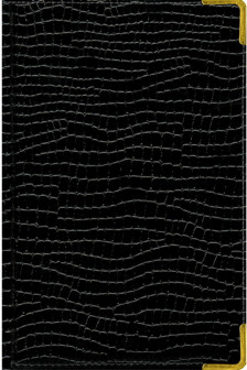 Iguana (черный)