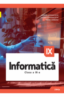 Informatica Clasa IX  Manual
