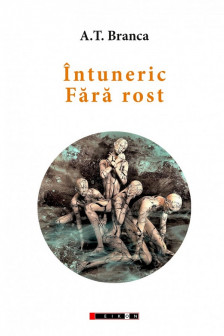 Intuneric fara rost