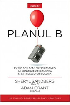 Introspectiv. PLANUL B.