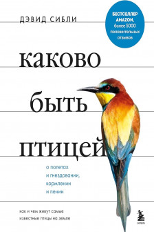 Каково быть птицей: о полетах и гнездовании кормлении и пении. Как и чем живут самые известные птицы на земле