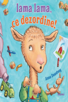 Lama lama ce dezordine!