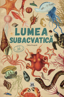 Lumea subacvatica