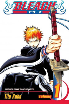 Manga 1 eng ( Bleach vol.1)