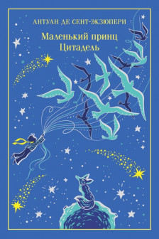 Маленький принц. Цитадель