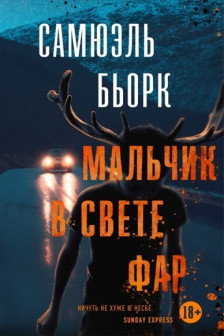 Мальчик в свете фар