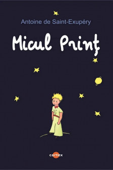 Micul print
