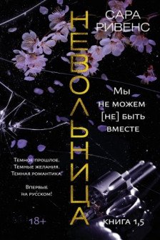 Невольница. Книга 1.5. Мы не можем (не) быть вместе