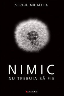 Nimic nu trebuia sa fie