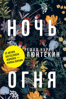 Ночь огня: роман.