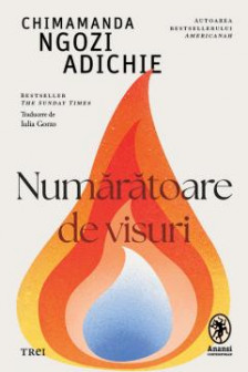 Numaratoare de visuri