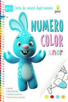 NumeroColor • Junior