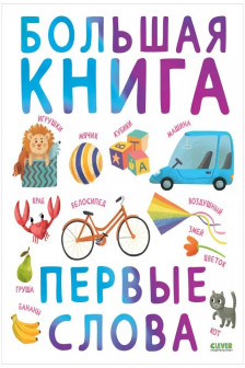 Первые книжки малыша. Большая книга. Первые слова