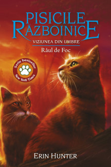 Pisicile Razboinice. vol 35 Viziunea din umbre: Raul de Foc
