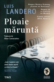Ploaie marunta