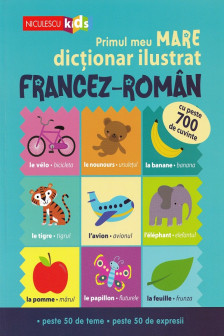 Primul meu MARE dictionar ilustrat Francez-Roman