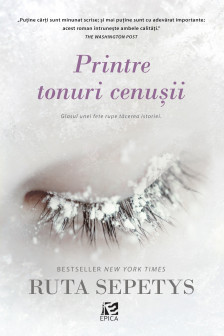 Printre tonuri cenusii