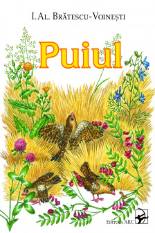 Puiul