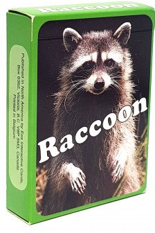 Raccoon