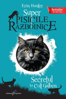 Secretul lui Colt Galben. Super Pisicile Razboinice