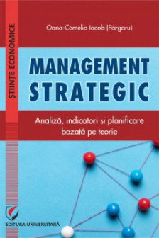 Management strategic: indicatori si planificare bazata pe teorie