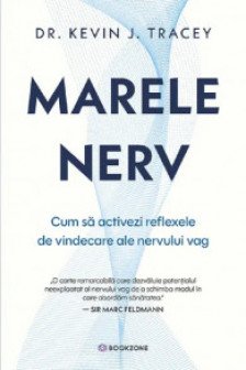 Marele nerv