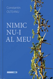 Nimic nu-i al meu