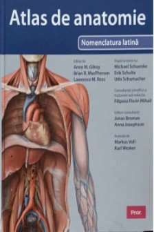 Atlas de Anatomie Gilroy Nomenclatura latina