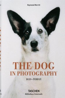 bu The Dog in Photography 1839–Today