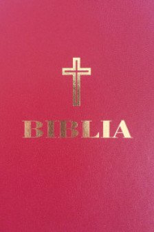 Biblia 053 simpla