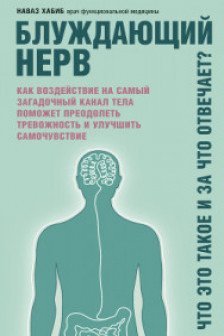 Блуждающий нерв. Что это такое и за что отвечает?