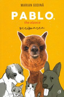 Pablo the alpaca. scrisoarea