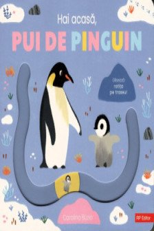 Hai acasa pui de pinguin