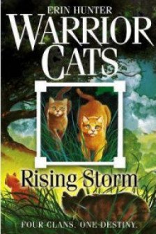 WARRIOR CATS: 4 RISING HUNTERHC WARRIOR CATS