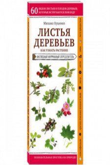 Листья деревьев. Как узнать растение