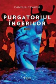 Purgatoriul ingerilor